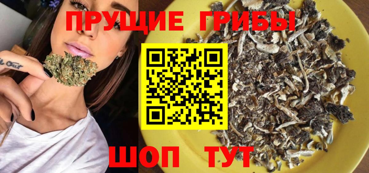 Галлюциногенные грибы Psilocybine cubensis Минеральные Воды